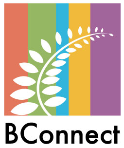 B Connect Ltd